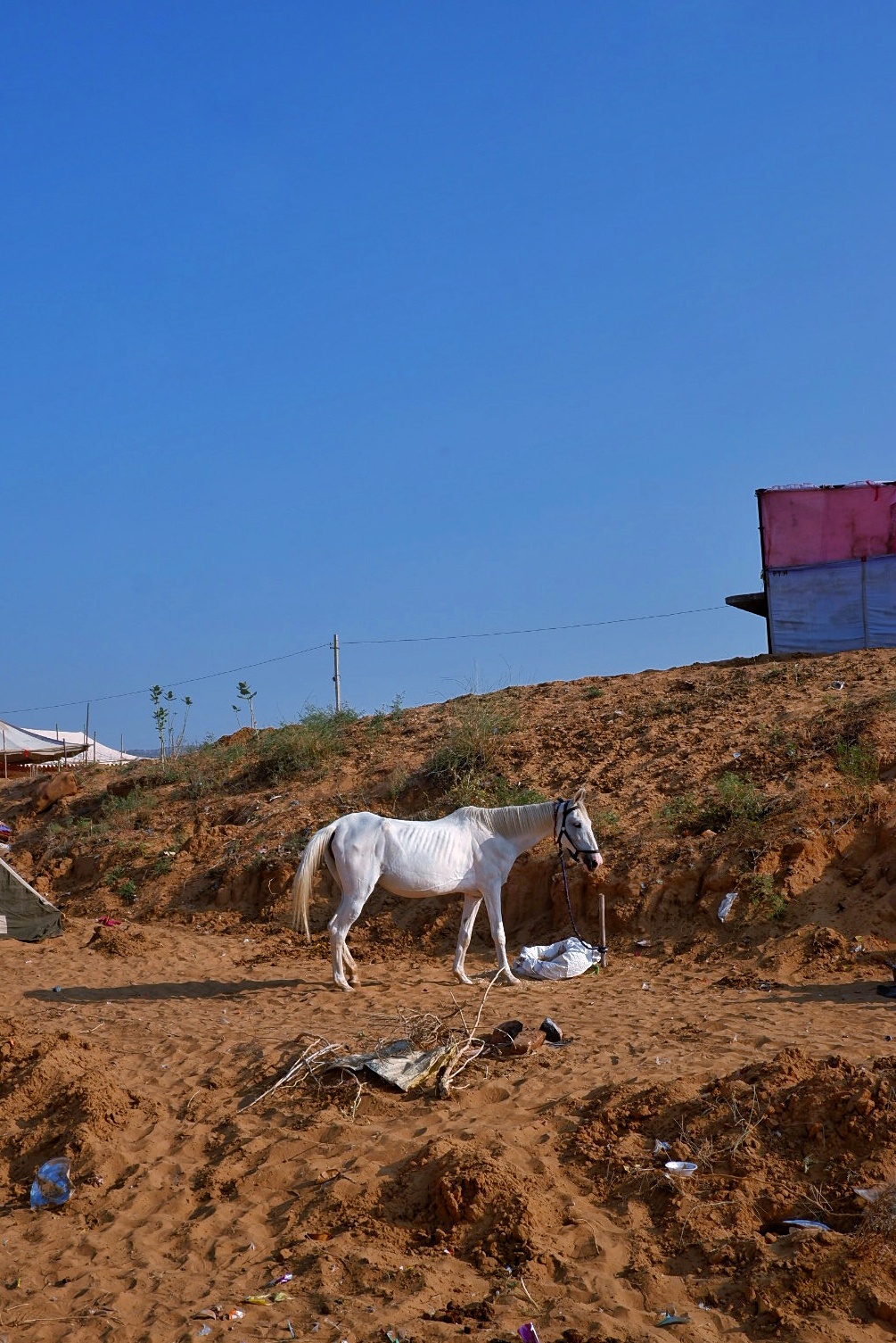 Life in Pushkar photograph 4